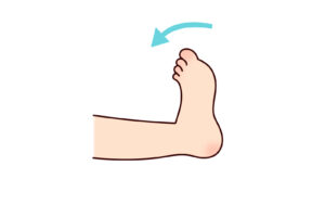 足首の硬さが、膝や腰の痛みの原因に？ 〜足首から始める整体のススメ〜
